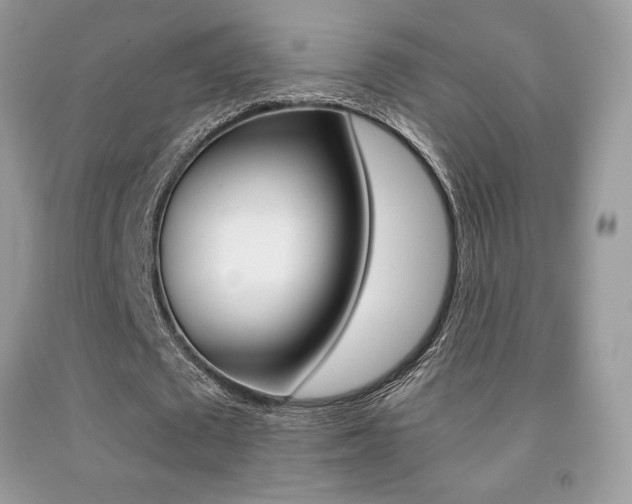 X0000091940673200709051303