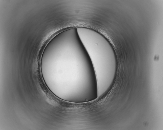 X0000091940674200709051303