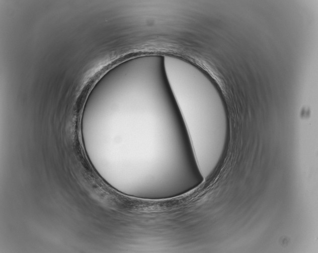 X0000091940675200709051303
