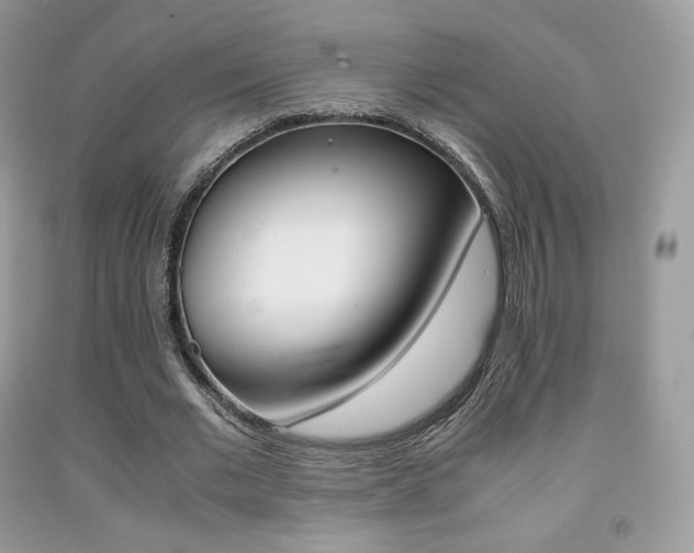 X0000091940677200709051303