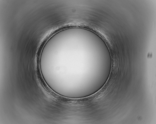 X0000091940678200709051303