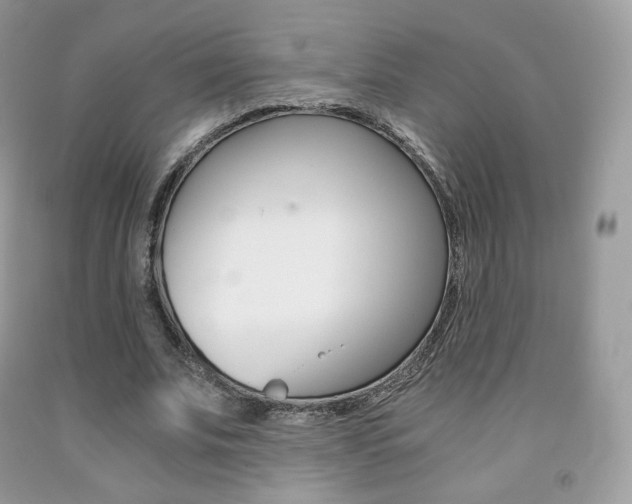 X0000091940679200709051303
