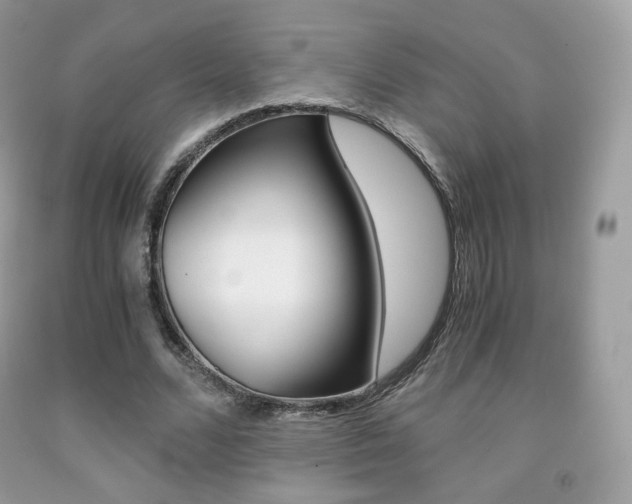 X0000091940680200709051303