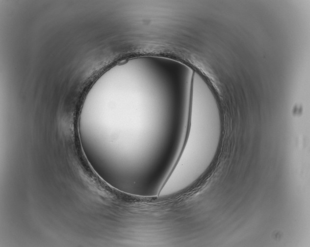 X0000091940681200709051303
