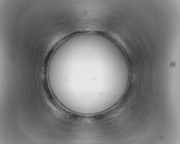 X0000091940683200709051303