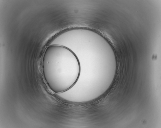 X0000091940684200709051303