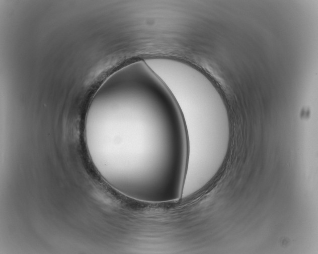 X0000091940685200709051303