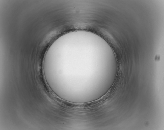 X0000091940687200709051303
