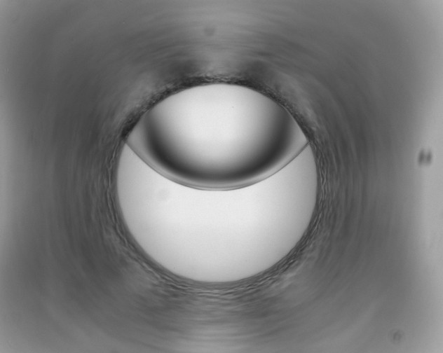 X0000091940689200709051303