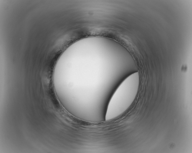 X0000091940691200709051303
