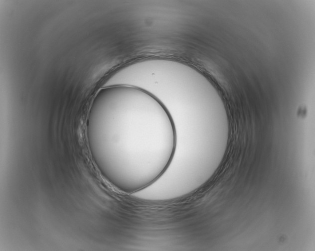 X0000091940692200709051303