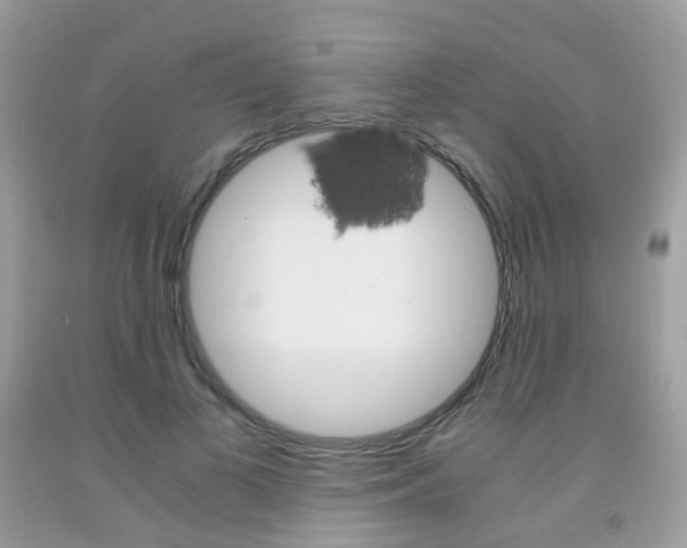 X0000091940693200709051303