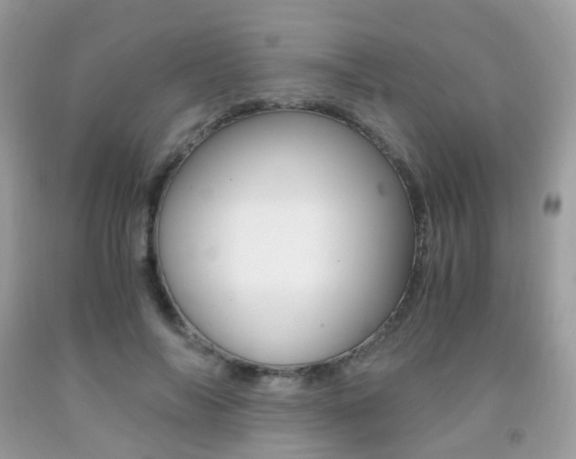 X0000091940694200709051303