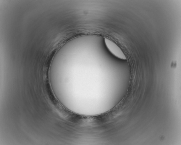 X0000091940695200709051303