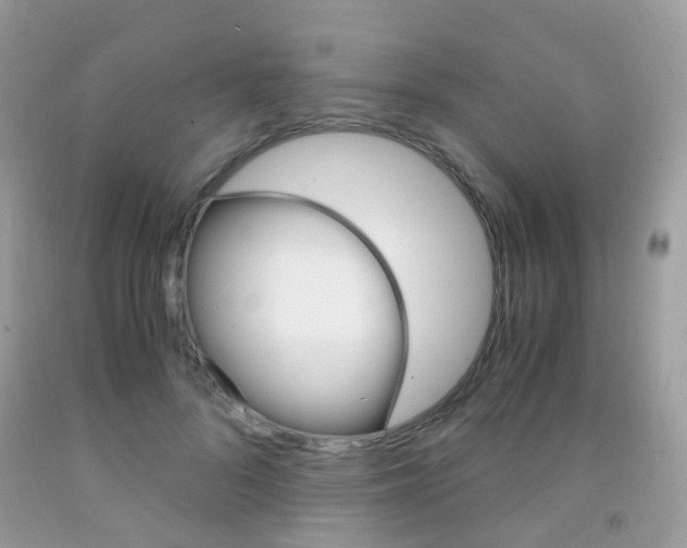 X0000091940696200709051303