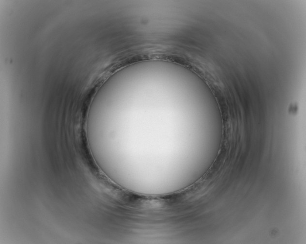 X0000091940698200709051303