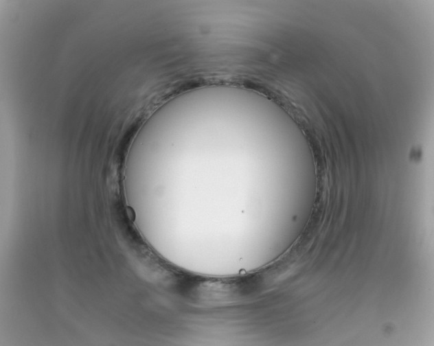 X0000091940699200709051303