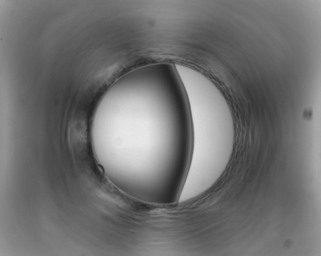 X0000091940700200709051303