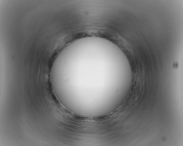 X0000091940702200709051303