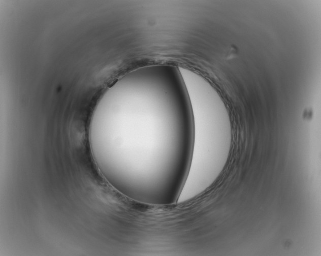 X0000091940704200709051303