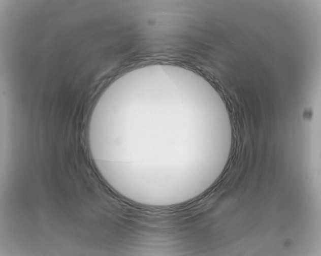 X0000091940705200709051303