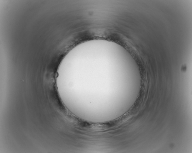 X0000091940707200709051303