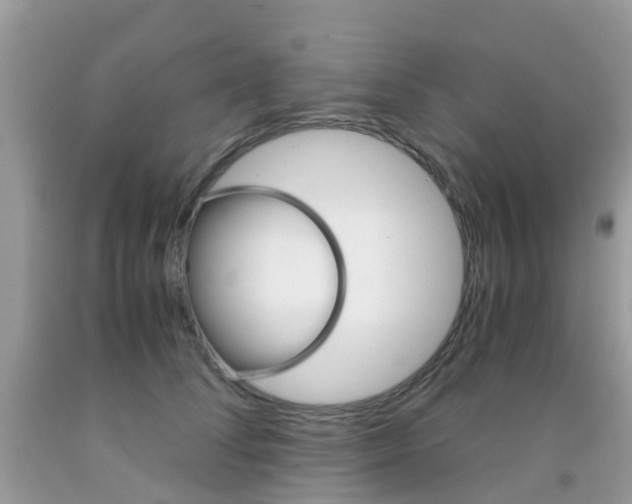 X0000091940708200709051303