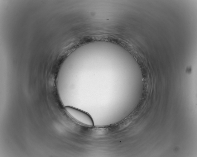 X0000091940711200709051303