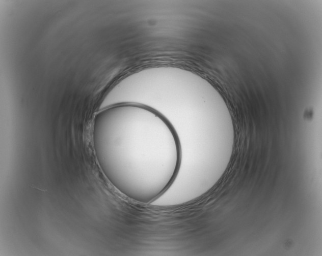 X0000091940712200709051303