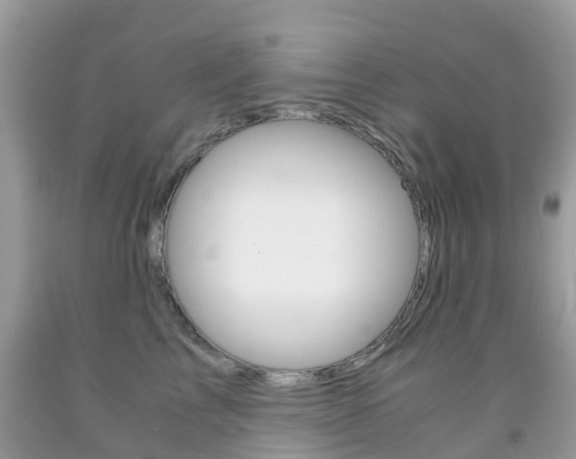 X0000091940713200709051303