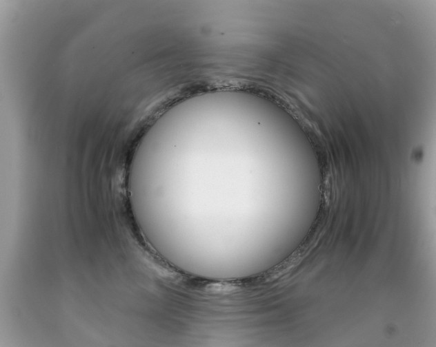 X0000091940714200709051303