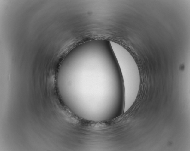 X0000091940716200709051303