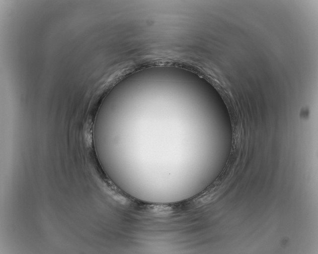 X0000091940719200709051303