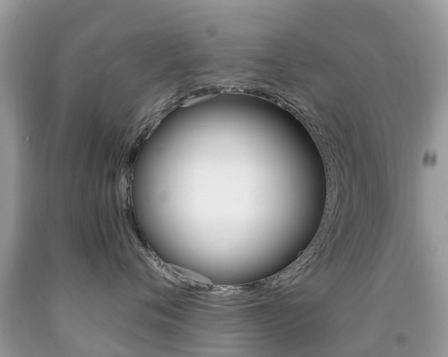 X0000091940720200709051303