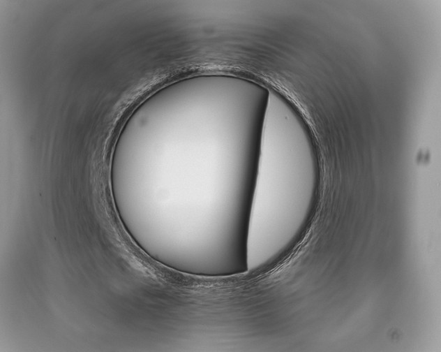 X0000091940721200709051302