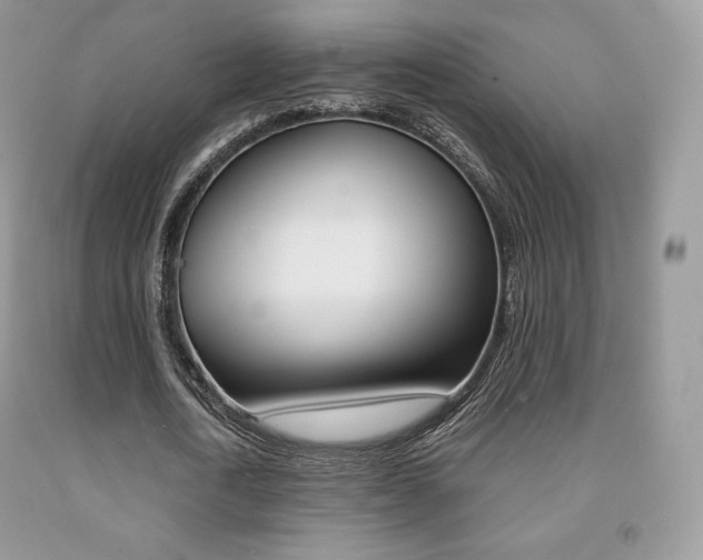 X0000091940722200709051302