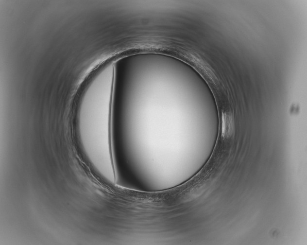 X0000091940723200709051302