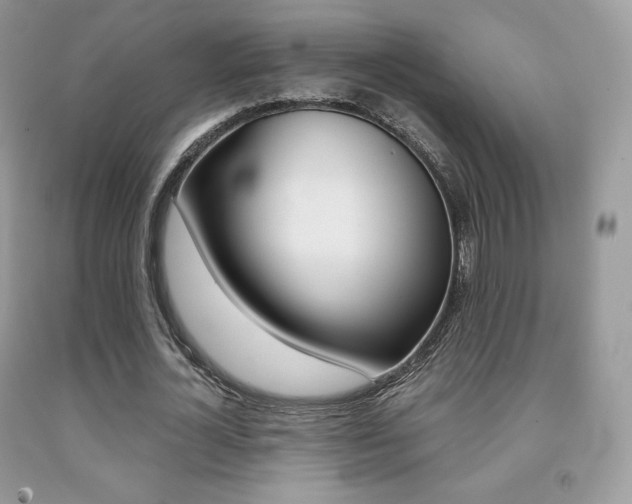 X0000091940724200709051302