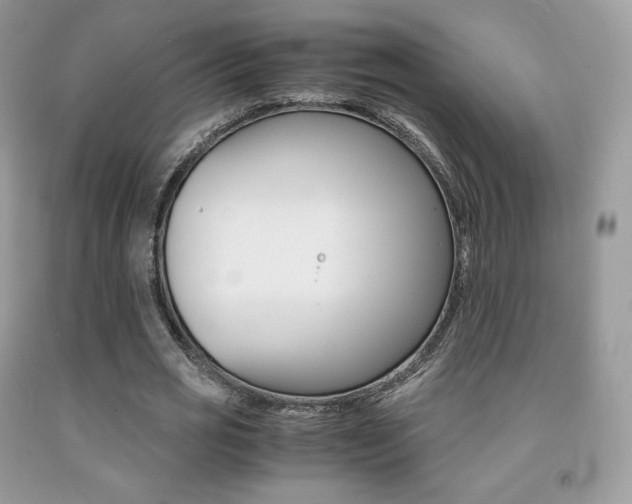 X0000091940725200709051302