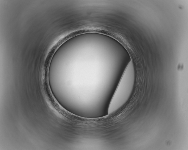 X0000091940726200709051302