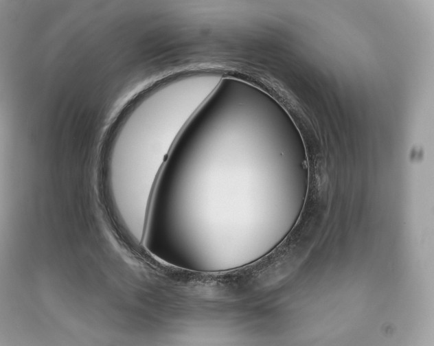 X0000091940728200709051302