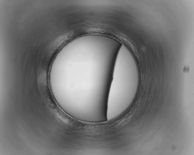 X0000091940729200709051302