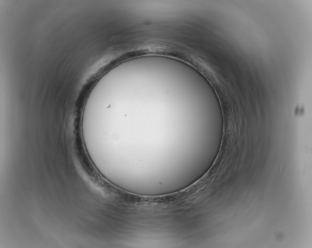 X0000091940730200709051302