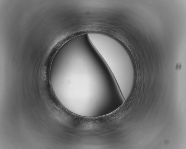 X0000091940731200709051302