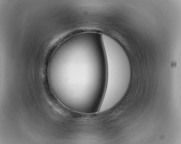X0000091940732200709051302