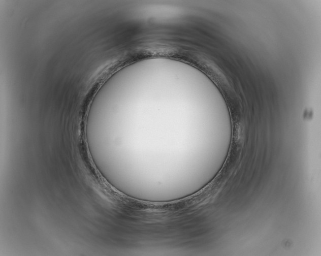 X0000091940733200709051302