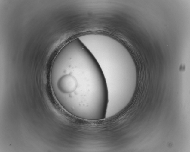 X0000091940734200709051302