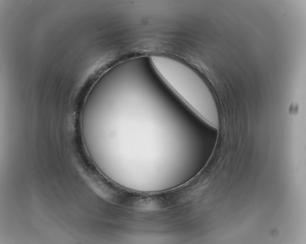 X0000091940735200709051302