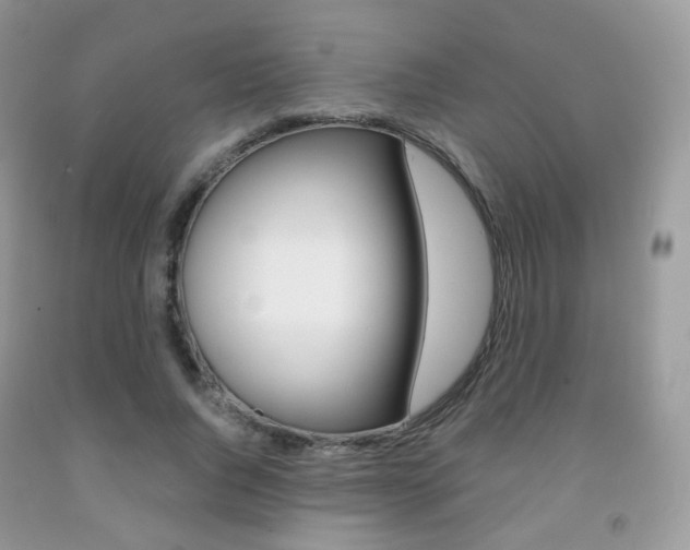 X0000091940736200709051302