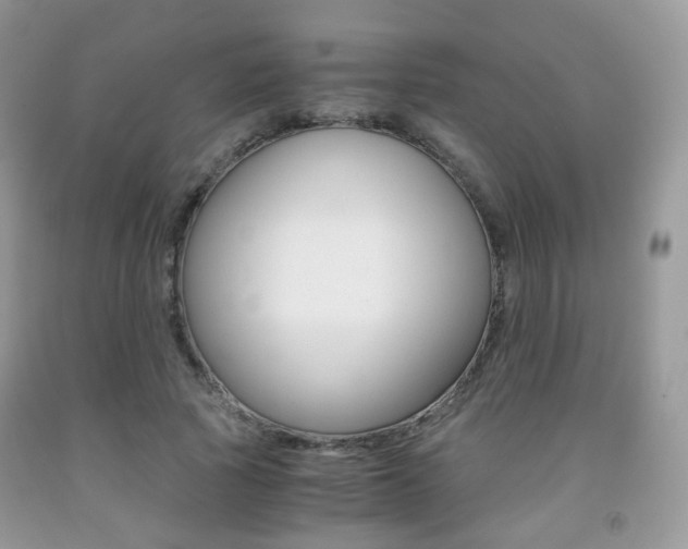 X0000091940737200709051302